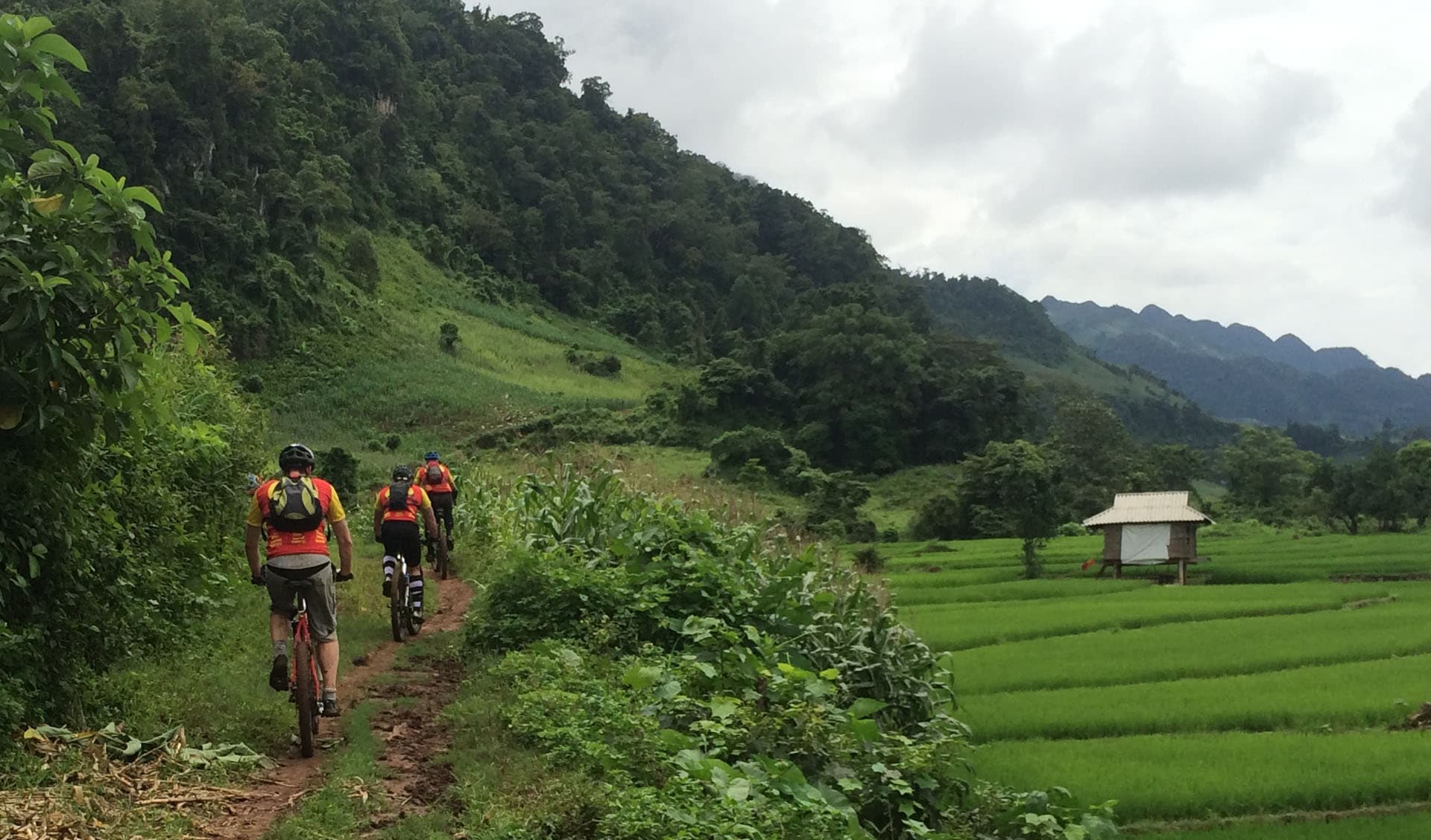 Ciclistas en Vietnam
